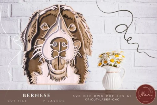 Animales y Mascotas